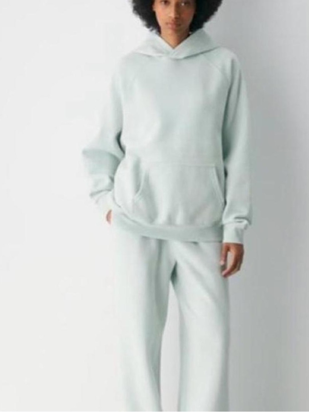 Aritzia The Group Mint Sweatpants